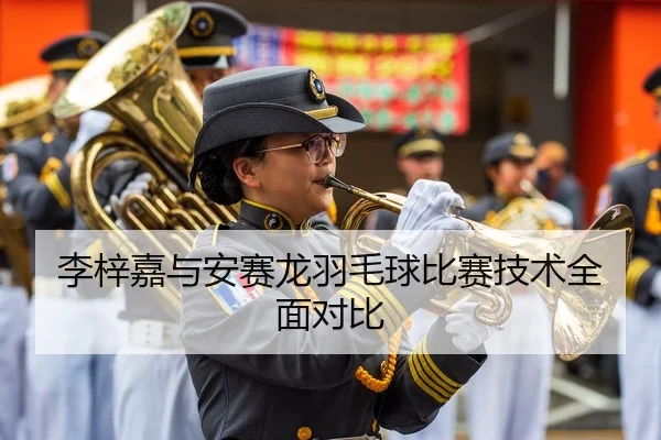 李梓嘉与安赛龙羽毛球比赛技术全面对比 | kaiyun